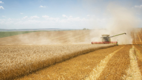 Россия собрала 125,4 млн тонн зерновых в бункерном весе